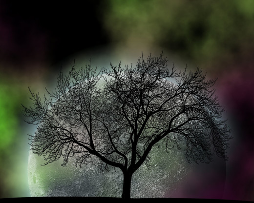 6942 (a): :1280x1024